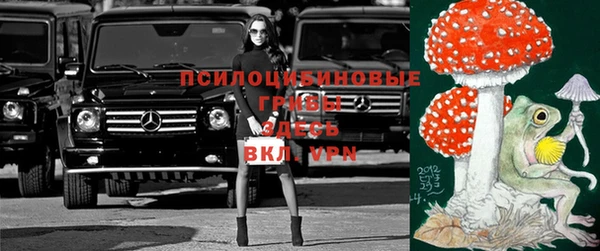 винт Абинск