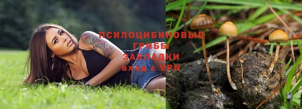мет Абаза