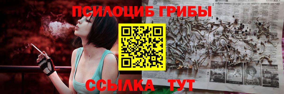 Галлюциногенные грибы Psilocybe  Галлюциногенные грибы Magic Shrooms  Узловая  Вход с VPN 